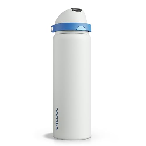 Insulated Water Bottle with Straw
