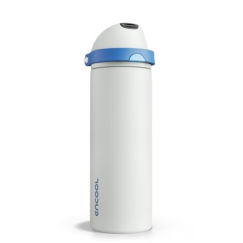 Insulated Water Bottle with Straw