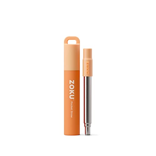 Reusable Metal Straw with Case