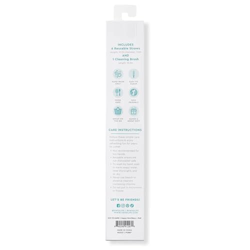 Pack of 6 Reusable Plastic Straws with Cleaning Brush (6 Count)