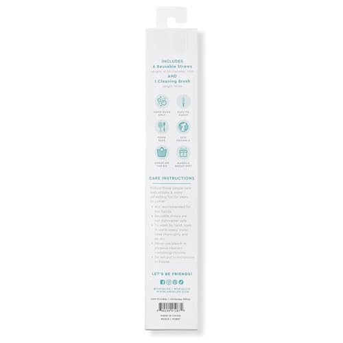 Pack of 6 Reusable Plastic Straws with Cleaning Brush (6 Count)