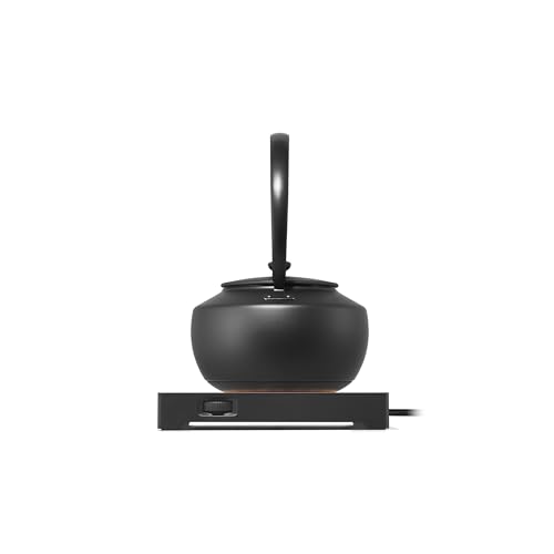 MoonKettle Electric Kettle with Temp Control