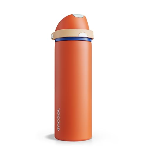 Insulated Water Bottle with Straw