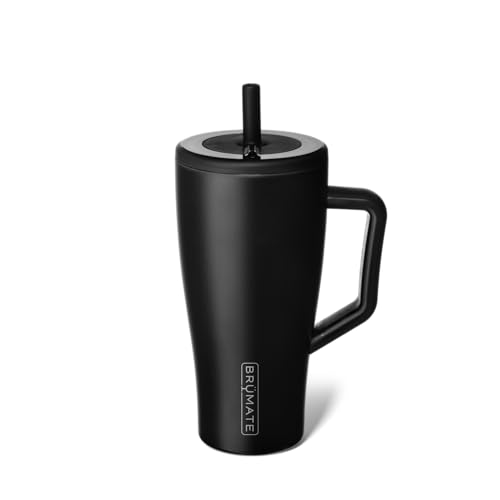 Era 30 oz Tumbler with Handle and Straw