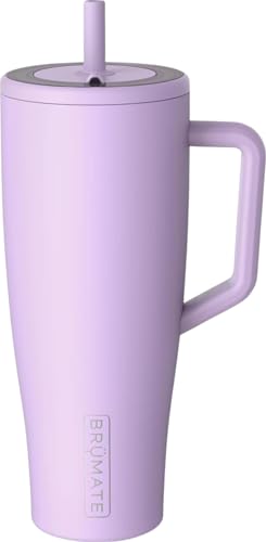 Era 40 oz Tumbler with Handle and Straw