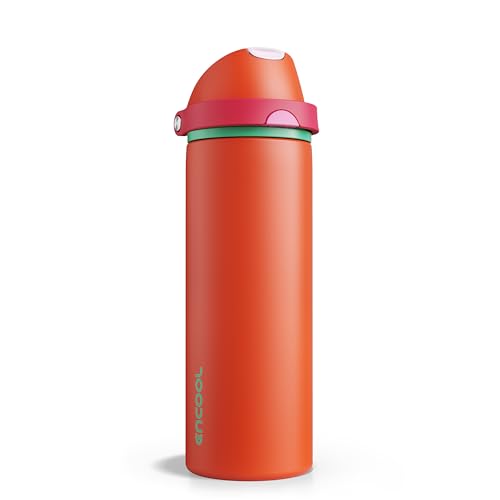 Insulated Water Bottle with Straw