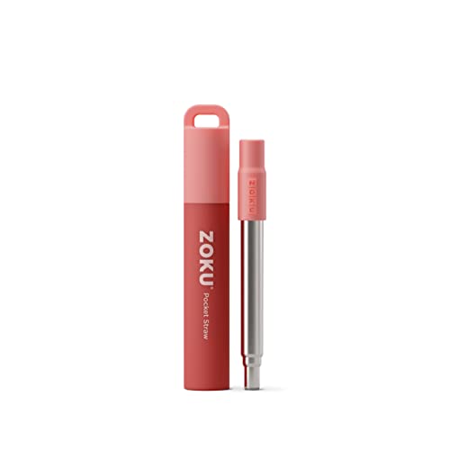 Reusable Metal Straw with Case