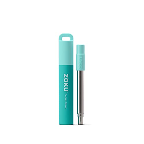 Reusable Metal Straw with Case