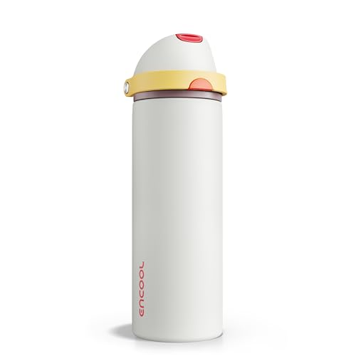 Insulated Water Bottle with Straw