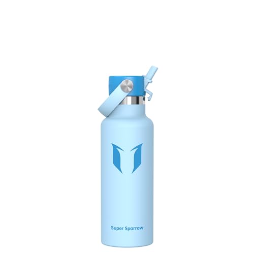 Insulated Water Bottle