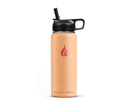 Stainless Steel Insulated Water Bottle with Straw