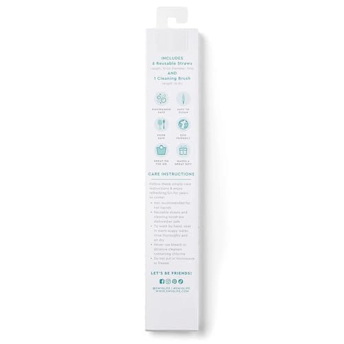 Reusable Straw Set with Cleaning Brush (6 Count)