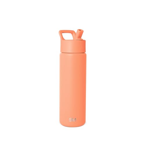 Insulated Water Bottle with Straw