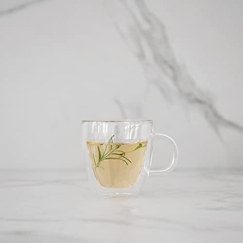 5oz Bistro Double Wall Espresso Mug (2 Count)