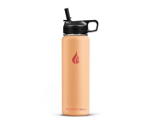 Stainless Steel Insulated Water Bottle with Straw