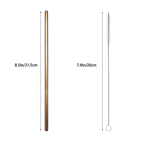 10 Pcs Stainless Steel Straws