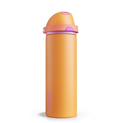 Insulated Water Bottle with Straw