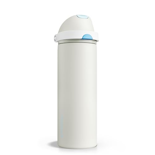 Insulated Water Bottle with Straw