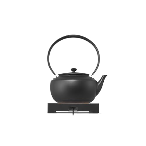 MoonKettle Electric Kettle with Temp Control