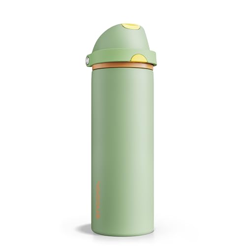 Insulated Water Bottle with Straw