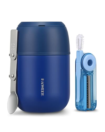 17oz Insulated Food Jar with Spoon