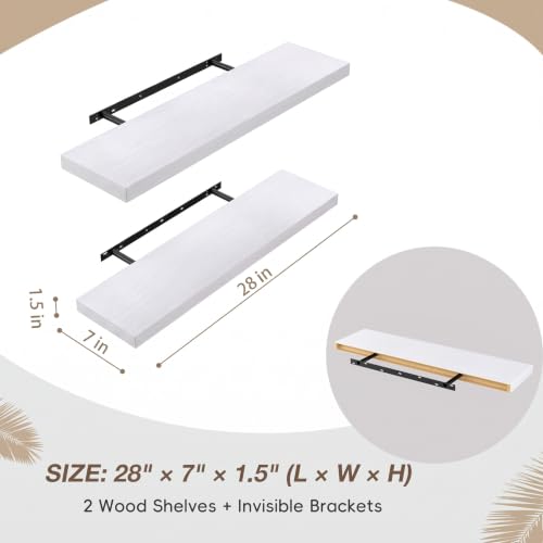 Floating Wall Shelves (2 Count)