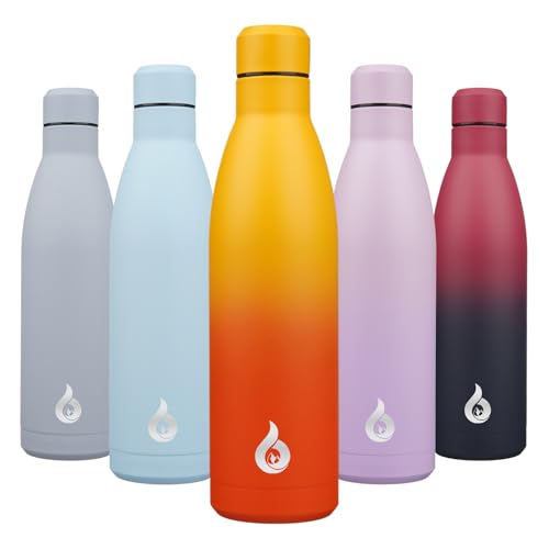 25 oz Insulated Stainless Steel Water Bottle