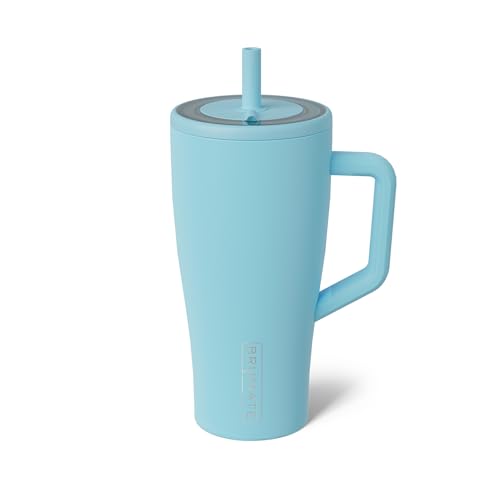 Era 30 oz Tumbler with Handle & Straw