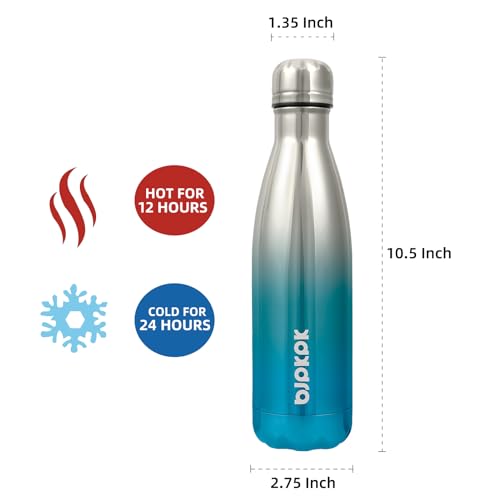 17 oz Insulated Water Bottle
