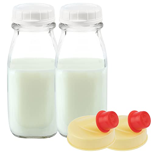 12 Oz Square Glass Milk Jugs with Caps (2 Count)