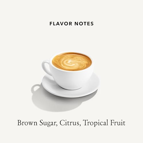 Costa Rica French Roast (12 Ounce)