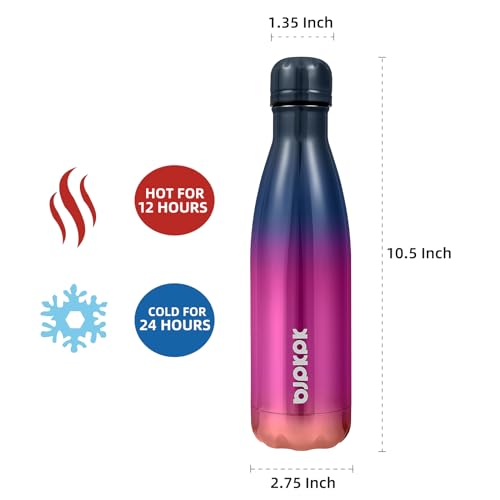 17 oz Insulated Water Bottle