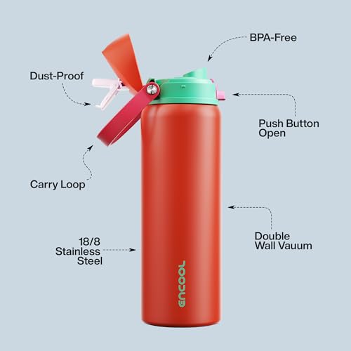 Insulated Water Bottle with Straw