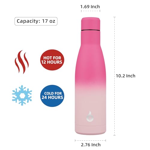 17 oz Insulated Thermal Metal Water Bottle