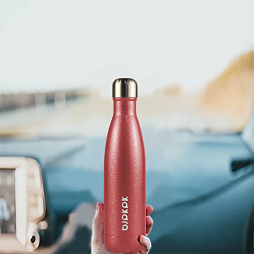 17 oz Small Insulated Water Bottle