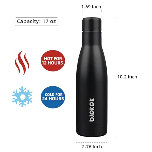17oz Skinny Insulated Water Bottle