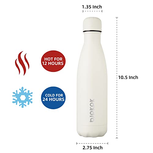 17 oz Insulated Water Bottle