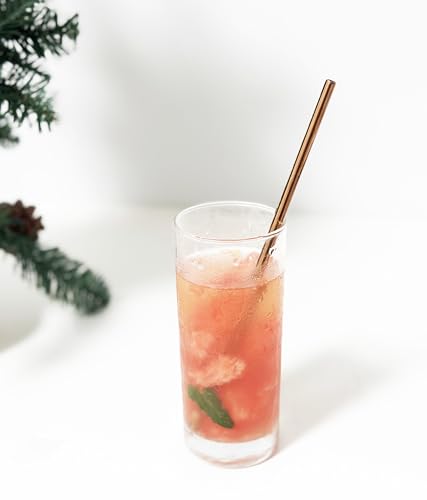 10 Pcs Stainless Steel Straws