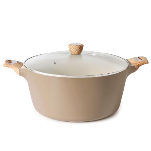 Ceramic Nonstick Stock Pot with Lid