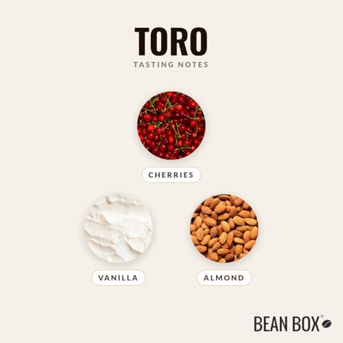 Toro Roasted by Devocion (32 Ounce)