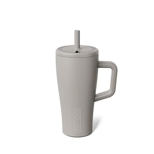 Era 20 oz Tumbler with Handle and Straw