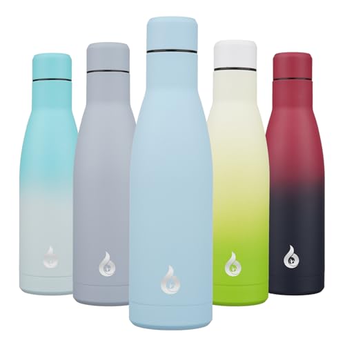 17 oz Insulated Thermal Metal Water Bottle