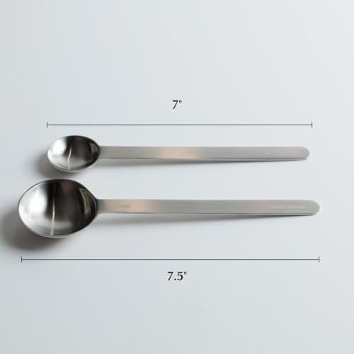 Stainless Steel Measuring Spoon (2 Count)