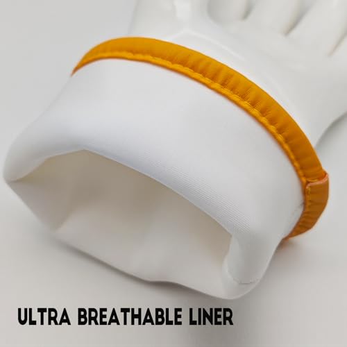 Silicone BBQ Grill & Oven Gloves (2 Count)