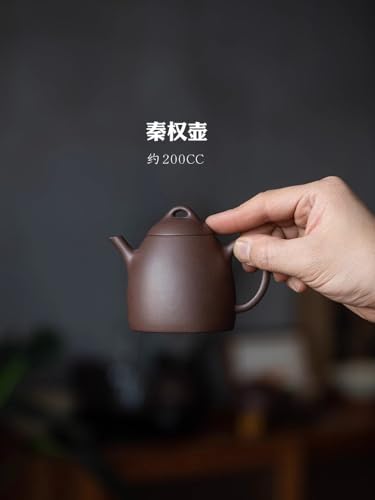 200cc chinese Yixing Handmade Zisha Tian Qing Clay Tian Qing Ni teapot "Qin Quan" Gongfu Teapot tea pot teaworldsupply