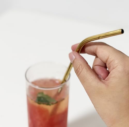 10 Pcs Stainless Steel Straws (10 Count)