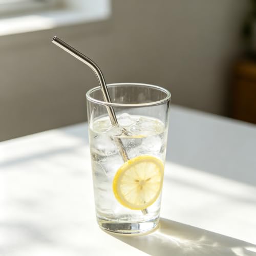 10 Pcs Stainless Steel Straws (10 Count)