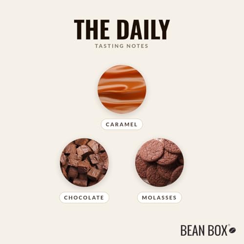 The Daily Roasted by Joe Coffee Company (6 Ounce)
