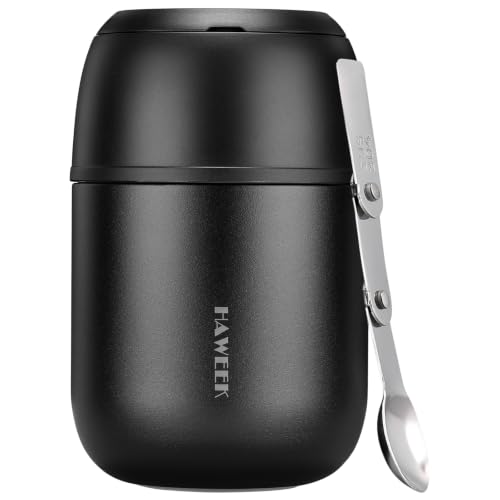 17oz Insulated Food Jar with Spoon