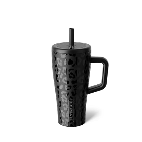 Era 20 oz Tumbler with Handle & Straw